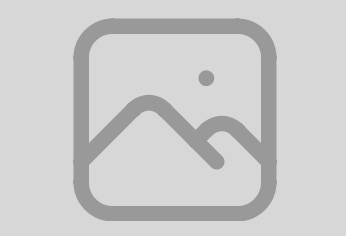 Platzhalterbild – Mantrailing